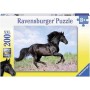 Puzzle cal 200 piese